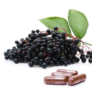 Elderberry capsules